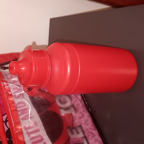 Disney Minnie Mouse Backpack w/Water Bottle - Picture 9 of 10